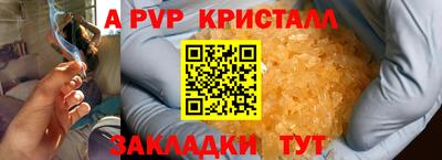 крисы Гусев