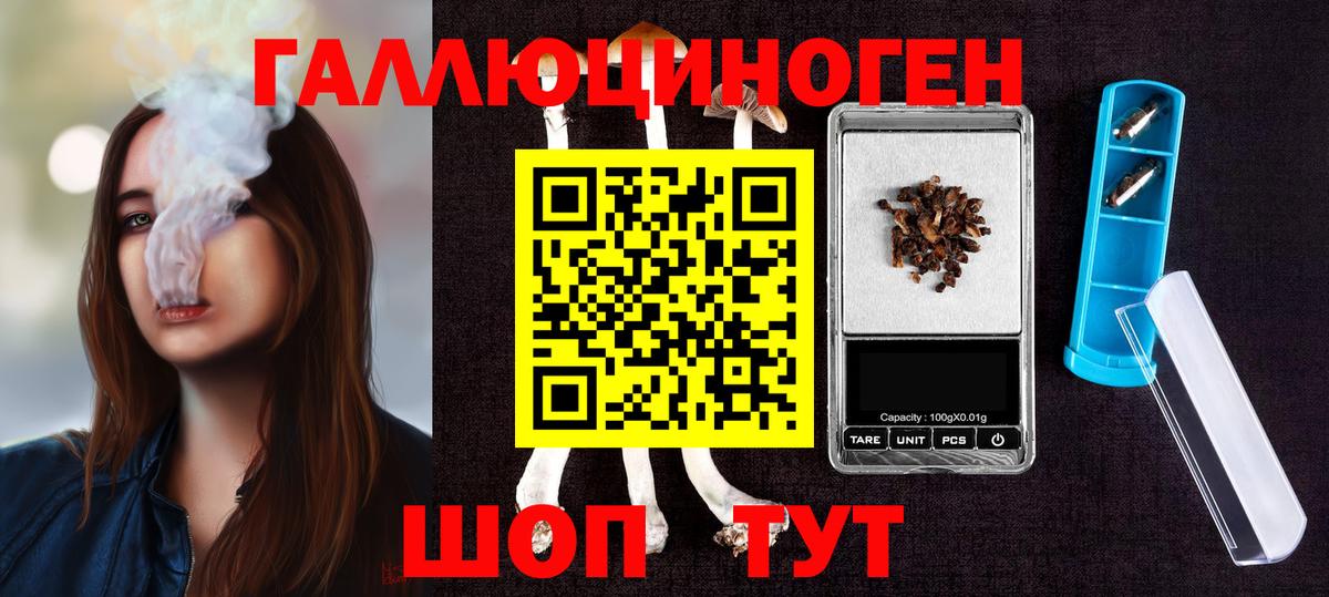 Псилоцибиновые грибы Psilocybine cubensis  Галлюциногенные грибы мицелий  Минусинск  Вход с VPN 